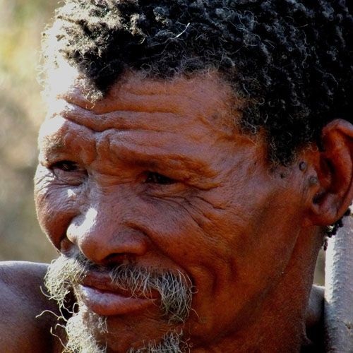 Tipos de humanos bosquimanos